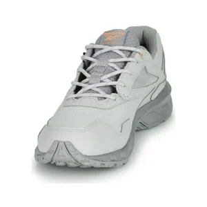 Reebok Classic RIDGERIDER 5 GTX Couleur Gris qualité supérieure 12