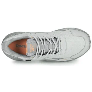 Reebok Classic RIDGERIDER 5 GTX Couleur Gris qualité supérieure 18